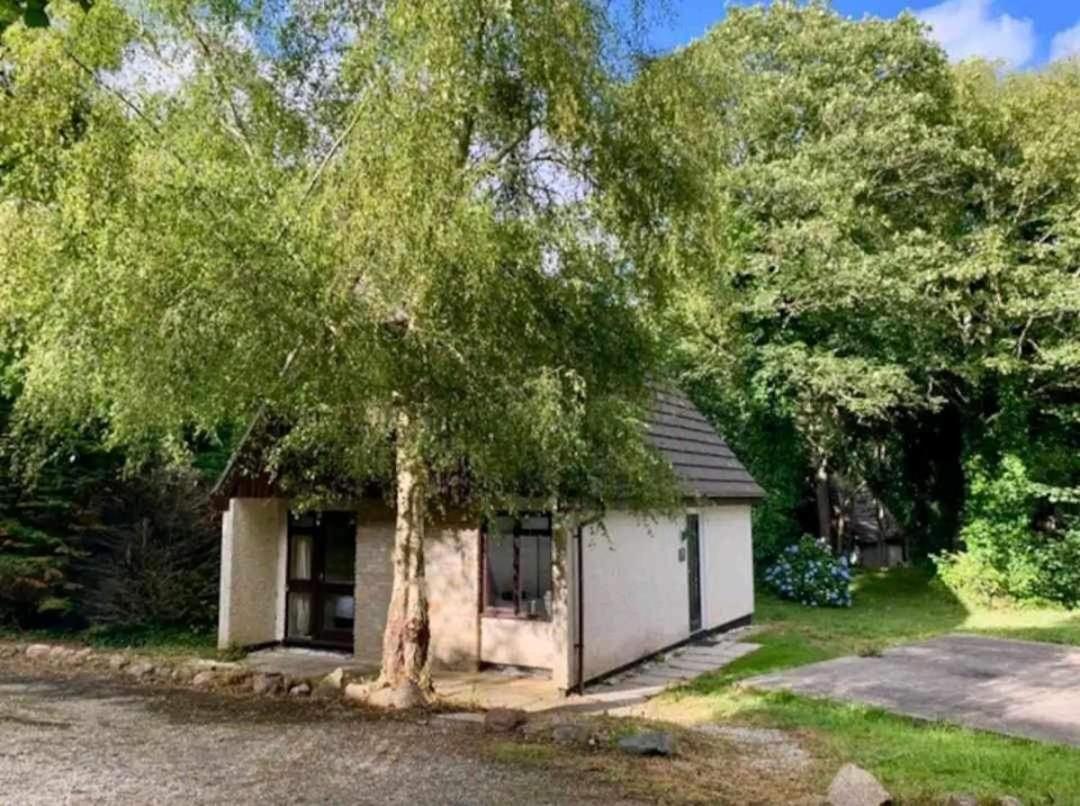 St Ives Bluebell Cottage St. Ives Exterior foto